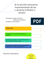 Efectos de La Sección Transversa en El Almacenamiento de La Fuerza Durante La Flexion y Torsion