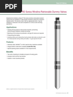 RD Dummy Valves PDF