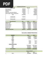 Estructura Financiera Bio Insumos