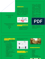 Actividad 2 Folleto Salud Mental