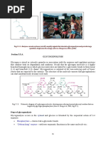 5 Glikogenolisis PDF