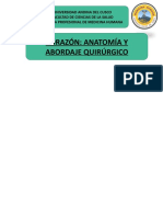 Anatomia y Abordajes en Cardiologia