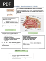 RESUMEN de Fosas Nasales, Senos Paranasales y Faringe