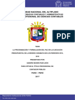 La Programación y Formulación Del Pac en La Ejecución Presupuestal de La Redess Carabaya en Los Periodos 2015, 2016