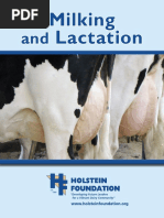 Milking Lactation Workbook PDF