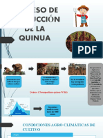 Proceso Productivo de La Quinua