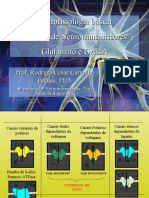 5 - Neurofisiologia - Sistema de Neurotransmissores - Glutamato e GABA