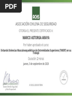 Certificado ACHS, TMERT.