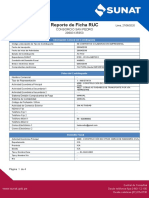 Reporte Ficha Ruc Consorcio San Pedro