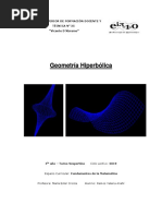 Geometria Hiperbolica PDF