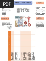 Cáncer Cervico Uterino Mapa Mental