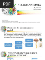 NEUROANATOMIA DR - Jottan