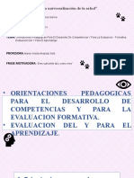 Orientaciones Pedagogicas para El Desarrollo de Competencias