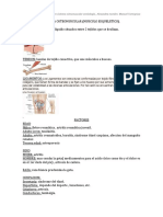 SISTEMA OSTEOMUSCULAR Resumen