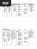 NURSING CARE PLAN - Suicidalact