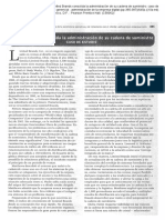 Caso Limited Brands PDF