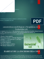 Trabajo de Entereobacteria de Escherichia Coli