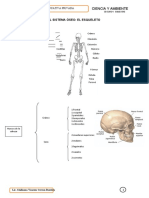 MODULO 2 DE CIENCIA Y AMBIENTE Terminado