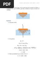 Tarea Resuelto - Flotacion PDF