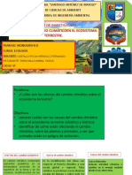 El Efecto Del Cambio Climático en El Ecosistema Terrestre - Paria Milla Anibal Ysaias