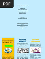 Actividad 4 - Promoción Del Autocuidado RIESGO PUBLICO