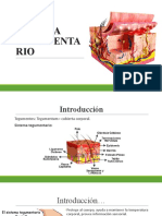 Sistema Tegumentario