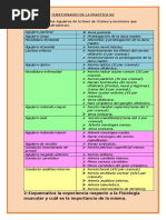 Cuestionario de La Practica N3