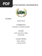 Mapa Conceptual de Energias Renovables Tarea 2