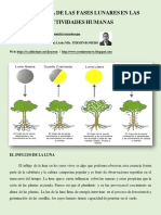 Lasfaseslunaresylaagriculturapdf 160824233502 PDF