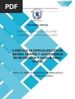 Módulo I-C. Niñez y Adolescencia en Riesgo Social y Víctima de Violencia