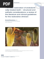 Paper Endodoncia Bla