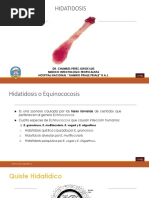 Hidatidosis PDF