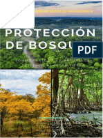 Bosques Del Ecuador