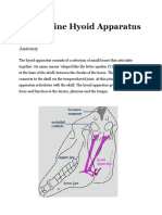 The Equine Hyoid Apparatus: Anatomy