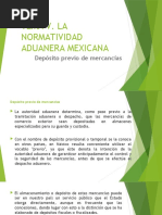 Deposito Previo de Las Mercancias, Derecho Aduanero.