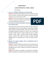 EXAMEN UNIDAD I RESUELTO (Formulacion de Poyectos Mineros)