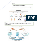 Ciencias Naturales Taller 7 Cambios Fisicos de La Materia