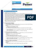 Lenguaje 10 Acentuación PDF