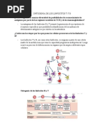 Ontogenia de Los Linfocitos T y B