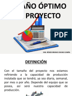 Tamaño Óptimo Del Proyecto