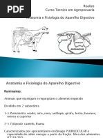 Aula Anatomia e Fisiologia Digestiva