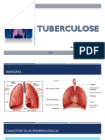 24.08.20 - Aula de Tuberculose PDF