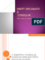 Dreptul Consular Notiuni Introductive