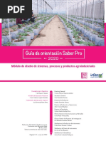 Guia de Orientacion Modulo de Diseno de Sistemas Procesos y Productos Agroindustriales Saber Pro 2020 PDF