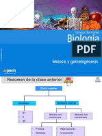 Clase 10 Meiosis y Gametogénesis