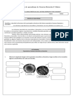 Guia de Actividades Sistemas Reproductores Humanos PDF