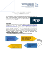 Cuestionario Practica 14