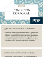 Condición Corporal Expo