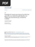 Estrategias de Manejo para Mejorar La Producción Piscícola en Un