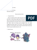 Rangkuman (Ribosom Dan Siintesa Protein)